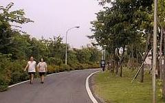 bic01.jpg (10657 bytes)